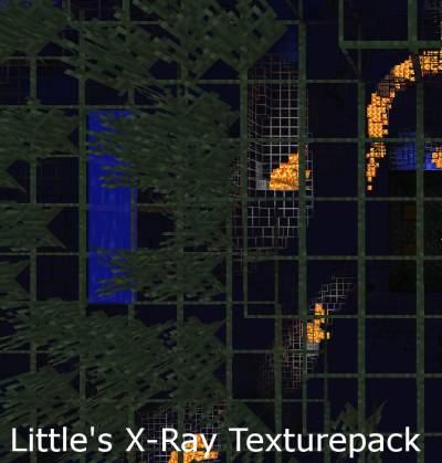 [16x] [1.4.5] LITTLE'S X-RAY TEXTUREPACK